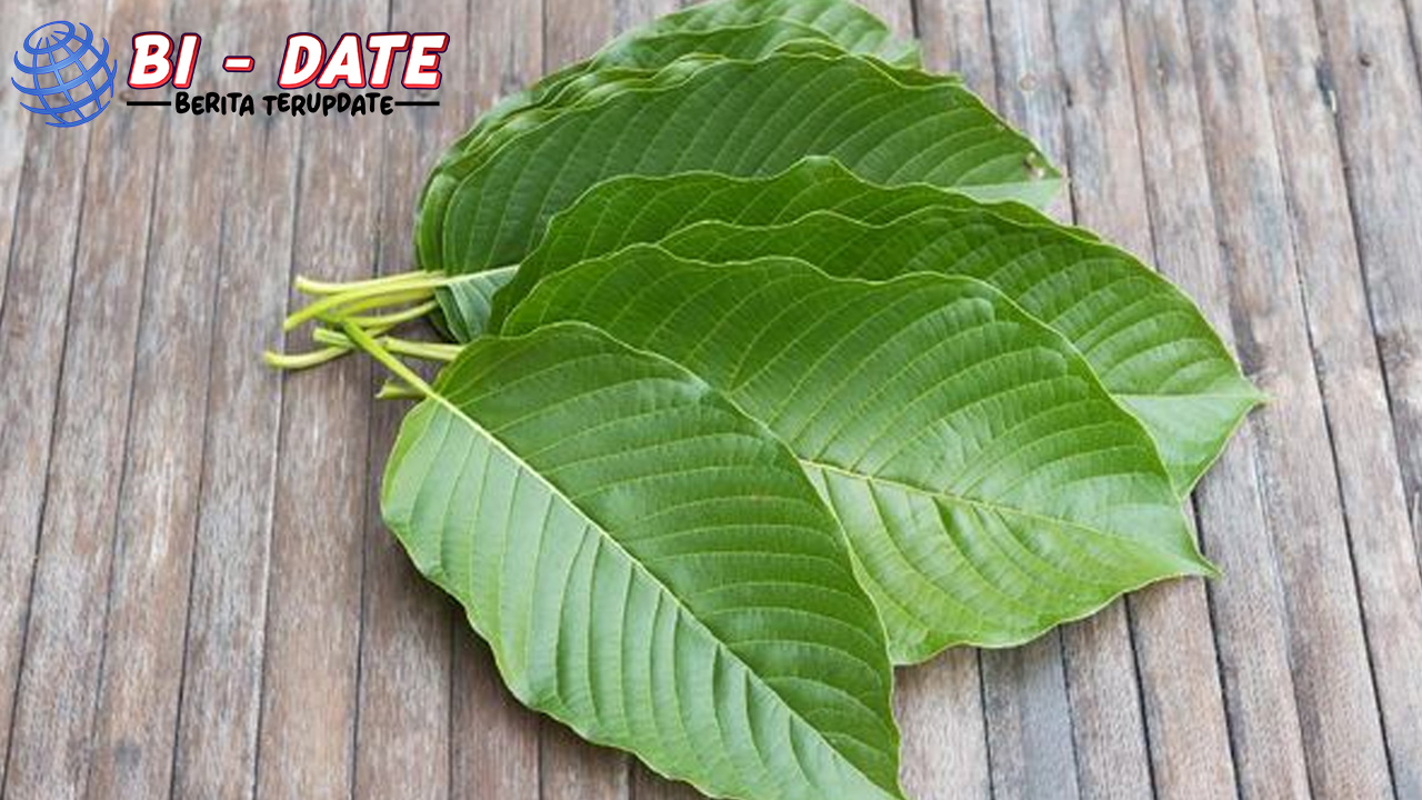 Kratom