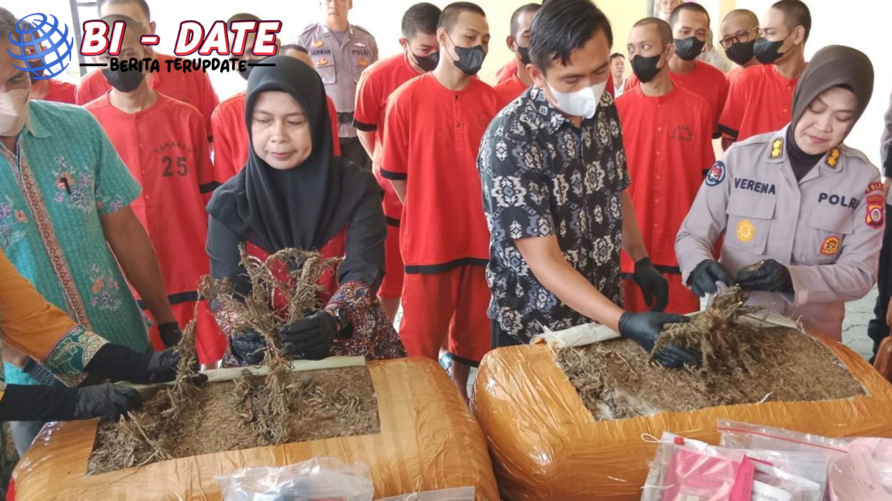 Penemuan Ladang Ganja