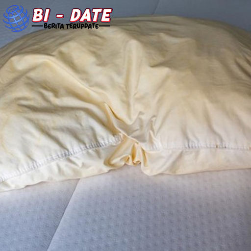 Bantal dan Guling Perlu Dijemur? Ini Alasannya yang Bikin Terkejut!