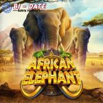 Slot Online African Elephant Gajah Afrika Bagi Hadiah!