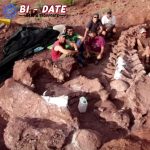 Dunia sains kembali terguncang. Kali ini bukan karena teori baru atau penemuan planet asing, tapi karena satu hal yang sudah terkubur jutaan tahun: fosil raksasa dinosaurus! Tak sekadar besar, penemuan ini dianggap sebagai jejak makhluk darat paling jumbo yang pernah menginjakkan kaki di Bumi. Bukan hanya para ahli paleontologi yang terpana, tapi juga publik dari berbagai penjuru dunia langsung dibuat penasaran. Karena ukurannya nggak main-main, hewan ini bisa bikin gajah pun terlihat seperti hewan peliharaan mungil. Ketika Tanah Kering Menyimpan Rahasia Purba Segalanya bermula dari sebuah tempat terpencil di Argentina. Tanahnya kering, nyaris tak ada kehidupan, hanya angin dan debu yang bersaing berisik. Tapi di balik itu semua, tersembunyi sisa-sisa kehidupan yang sudah punah sejak lama. Tanpa banyak gembar-gembor, tim peneliti lokal mulai menggali sesuatu yang awalnya mereka kira batu biasa. Tapi, semakin dalam mereka menggali, semakin jelas bahwa itu bukan sekadar batu. Rangka tulang yang sangat besar perlahan terbuka, menunjukkan bentuk tubuh seekor dinosaurus herbivora yang ukurannya bikin geleng kepala. Dari analisis awal, diperkirakan panjangnya bisa mencapai 40 meter, dengan berat lebih dari 70 ton! Ukuran segila itu bahkan membuat Tyrannosaurus rex terlihat seperti bocah kecil yang nyasar. Nama yang Belum Terlupakan: Patagotitan Mayorum Penemuan ini akhirnya diberi nama Patagotitan Mayorum, yang terdengar seperti nama karakter film fiksi ilmiah, padahal ini nyata adanya. Nama ini diambil dari wilayah Patagonian tempat fosil ditemukan, dan dari keluarga mayorum yang mengizinkan penggalian dilakukan di tanah milik mereka. Meski terdengar Latin banget, nama itu sekarang mulai sering muncul di berbagai jurnal dan berita ilmiah global. Keberadaan Patagotitan membuka lembaran baru dalam dunia paleontologi. Karena ternyata, Bumi pernah dihuni makhluk seukuran lapangan basket yang doyan makan tumbuhan! Bukan Hanya Besar, Tapi Juga Misterius Ukuran yang luar biasa memang bikin banyak orang takjub. Tapi ada sisi lain dari Patagotitan yang bikin penasaran. Bagaimana bisa makhluk sebesar itu bertahan hidup? Berapa banyak makanan yang harus dikunyah tiap hari? Dan bagaimana mereka bergerak tanpa membuat tanah retak? Pertanyaan-pertanyaan itu sampai sekarang masih diperdebatkan. Bahkan beberapa peneliti berspekulasi bahwa mereka mungkin hidup berkelompok untuk bertahan dari pemangsa dan perubahan lingkungan. Tapi tentu saja, semuanya masih jadi tanda tanya besar yang membuat para ilmuwan makin semangat meneliti. Satu hal yang pasti: Patagotitan bukan makhluk sembarangan. Ia menjadi simbol dari masa lalu yang luar biasa, yang terkubur begitu lama hanya untuk akhirnya muncul dan membelalakkan mata semua orang. Dunia Modern Dihadapkan Pada Makhluk Masa Silam Menariknya, meski fosil Patagotitan sudah ditemukan sejak beberapa tahun lalu, tetap saja efek kejutnya belum reda. Apalagi setiap kali ada potongan tulang baru ditemukan, pasti muncul berita besar yang menyebar ke mana-mana. Kini, tulang-tulang raksasa itu dipajang di museum Argentina dan beberapa bagian lainnya dibawa keliling dunia dalam pameran khusus. Bukan untuk pamer semata, tapi untuk mengingatkan kita bahwa Bumi ini pernah dihuni makhluk-makhluk luar nalar yang hidup sebelum manusia menguasai segalanya. Penemuan ini juga bikin kita sadar, betapa kecilnya kita dibandingkan zaman yang telah berlalu. Meski saat ini teknologi makin canggih, tetap saja masih banyak rahasia dunia yang belum terungkap. Dan kadang, jawaban dari teka-teki itu terkubur diam-diam di bawah kaki kita. Kesimpulan: Fosil Ini Bukan Sekadar Tulang Fosil Patagotitan Mayorum lebih dari sekadar tumpukan tulang. Ia adalah pengingat bahwa kehidupan pernah berjalan sangat berbeda jutaan tahun lalu. Di mana hewan sebesar gedung lima lantai berkeliaran bebas tanpa gangguan manusia. Penemuan ini bukan akhir, tapi awal dari rangkaian misteri lain yang mungkin masih menunggu giliran untuk ditemukan. Mungkin di Afrika, mungkin di Asia, atau bahkan di Indonesia. Karena setiap jengkal tanah bisa saja menyimpan kejutan. Jadi, kalau suatu hari kamu melihat batu besar yang mencurigakan bentuknya, siapa tahu kamu sedang berdiri di atas fosil masa lalu yang menanti waktu untuk bicara.