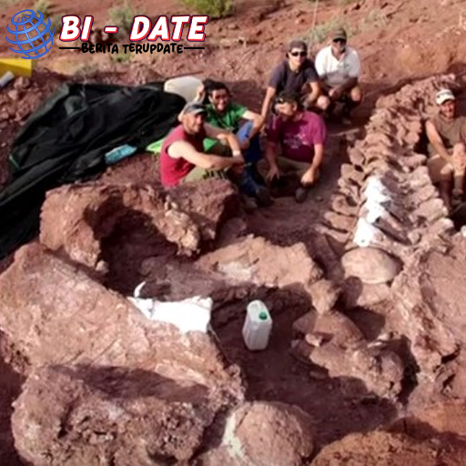 Dunia sains kembali terguncang. Kali ini bukan karena teori baru atau penemuan planet asing, tapi karena satu hal yang sudah terkubur jutaan tahun: fosil raksasa dinosaurus! Tak sekadar besar, penemuan ini dianggap sebagai jejak makhluk darat paling jumbo yang pernah menginjakkan kaki di Bumi. Bukan hanya para ahli paleontologi yang terpana, tapi juga publik dari berbagai penjuru dunia langsung dibuat penasaran. Karena ukurannya nggak main-main, hewan ini bisa bikin gajah pun terlihat seperti hewan peliharaan mungil. Ketika Tanah Kering Menyimpan Rahasia Purba Segalanya bermula dari sebuah tempat terpencil di Argentina. Tanahnya kering, nyaris tak ada kehidupan, hanya angin dan debu yang bersaing berisik. Tapi di balik itu semua, tersembunyi sisa-sisa kehidupan yang sudah punah sejak lama. Tanpa banyak gembar-gembor, tim peneliti lokal mulai menggali sesuatu yang awalnya mereka kira batu biasa. Tapi, semakin dalam mereka menggali, semakin jelas bahwa itu bukan sekadar batu. Rangka tulang yang sangat besar perlahan terbuka, menunjukkan bentuk tubuh seekor dinosaurus herbivora yang ukurannya bikin geleng kepala. Dari analisis awal, diperkirakan panjangnya bisa mencapai 40 meter, dengan berat lebih dari 70 ton! Ukuran segila itu bahkan membuat Tyrannosaurus rex terlihat seperti bocah kecil yang nyasar. Nama yang Belum Terlupakan: Patagotitan Mayorum Penemuan ini akhirnya diberi nama Patagotitan Mayorum, yang terdengar seperti nama karakter film fiksi ilmiah, padahal ini nyata adanya. Nama ini diambil dari wilayah Patagonian tempat fosil ditemukan, dan dari keluarga mayorum yang mengizinkan penggalian dilakukan di tanah milik mereka. Meski terdengar Latin banget, nama itu sekarang mulai sering muncul di berbagai jurnal dan berita ilmiah global. Keberadaan Patagotitan membuka lembaran baru dalam dunia paleontologi. Karena ternyata, Bumi pernah dihuni makhluk seukuran lapangan basket yang doyan makan tumbuhan! Bukan Hanya Besar, Tapi Juga Misterius Ukuran yang luar biasa memang bikin banyak orang takjub. Tapi ada sisi lain dari Patagotitan yang bikin penasaran. Bagaimana bisa makhluk sebesar itu bertahan hidup? Berapa banyak makanan yang harus dikunyah tiap hari? Dan bagaimana mereka bergerak tanpa membuat tanah retak? Pertanyaan-pertanyaan itu sampai sekarang masih diperdebatkan. Bahkan beberapa peneliti berspekulasi bahwa mereka mungkin hidup berkelompok untuk bertahan dari pemangsa dan perubahan lingkungan. Tapi tentu saja, semuanya masih jadi tanda tanya besar yang membuat para ilmuwan makin semangat meneliti. Satu hal yang pasti: Patagotitan bukan makhluk sembarangan. Ia menjadi simbol dari masa lalu yang luar biasa, yang terkubur begitu lama hanya untuk akhirnya muncul dan membelalakkan mata semua orang. Dunia Modern Dihadapkan Pada Makhluk Masa Silam Menariknya, meski fosil Patagotitan sudah ditemukan sejak beberapa tahun lalu, tetap saja efek kejutnya belum reda. Apalagi setiap kali ada potongan tulang baru ditemukan, pasti muncul berita besar yang menyebar ke mana-mana. Kini, tulang-tulang raksasa itu dipajang di museum Argentina dan beberapa bagian lainnya dibawa keliling dunia dalam pameran khusus. Bukan untuk pamer semata, tapi untuk mengingatkan kita bahwa Bumi ini pernah dihuni makhluk-makhluk luar nalar yang hidup sebelum manusia menguasai segalanya. Penemuan ini juga bikin kita sadar, betapa kecilnya kita dibandingkan zaman yang telah berlalu. Meski saat ini teknologi makin canggih, tetap saja masih banyak rahasia dunia yang belum terungkap. Dan kadang, jawaban dari teka-teki itu terkubur diam-diam di bawah kaki kita. Kesimpulan: Fosil Ini Bukan Sekadar Tulang Fosil Patagotitan Mayorum lebih dari sekadar tumpukan tulang. Ia adalah pengingat bahwa kehidupan pernah berjalan sangat berbeda jutaan tahun lalu. Di mana hewan sebesar gedung lima lantai berkeliaran bebas tanpa gangguan manusia. Penemuan ini bukan akhir, tapi awal dari rangkaian misteri lain yang mungkin masih menunggu giliran untuk ditemukan. Mungkin di Afrika, mungkin di Asia, atau bahkan di Indonesia. Karena setiap jengkal tanah bisa saja menyimpan kejutan. Jadi, kalau suatu hari kamu melihat batu besar yang mencurigakan bentuknya, siapa tahu kamu sedang berdiri di atas fosil masa lalu yang menanti waktu untuk bicara.