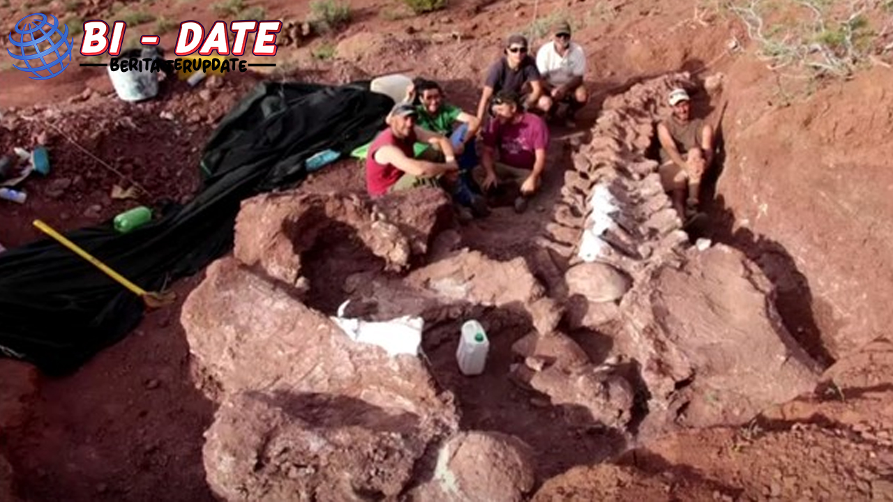 Dunia sains kembali terguncang. Kali ini bukan karena teori baru atau penemuan planet asing, tapi karena satu hal yang sudah terkubur jutaan tahun: fosil raksasa dinosaurus! Tak sekadar besar, penemuan ini dianggap sebagai jejak makhluk darat paling jumbo yang pernah menginjakkan kaki di Bumi. Bukan hanya para ahli paleontologi yang terpana, tapi juga publik dari berbagai penjuru dunia langsung dibuat penasaran. Karena ukurannya nggak main-main, hewan ini bisa bikin gajah pun terlihat seperti hewan peliharaan mungil. Ketika Tanah Kering Menyimpan Rahasia Purba Segalanya bermula dari sebuah tempat terpencil di Argentina. Tanahnya kering, nyaris tak ada kehidupan, hanya angin dan debu yang bersaing berisik. Tapi di balik itu semua, tersembunyi sisa-sisa kehidupan yang sudah punah sejak lama. Tanpa banyak gembar-gembor, tim peneliti lokal mulai menggali sesuatu yang awalnya mereka kira batu biasa. Tapi, semakin dalam mereka menggali, semakin jelas bahwa itu bukan sekadar batu. Rangka tulang yang sangat besar perlahan terbuka, menunjukkan bentuk tubuh seekor dinosaurus herbivora yang ukurannya bikin geleng kepala. Dari analisis awal, diperkirakan panjangnya bisa mencapai 40 meter, dengan berat lebih dari 70 ton! Ukuran segila itu bahkan membuat Tyrannosaurus rex terlihat seperti bocah kecil yang nyasar. Nama yang Belum Terlupakan: Patagotitan Mayorum Penemuan ini akhirnya diberi nama Patagotitan Mayorum, yang terdengar seperti nama karakter film fiksi ilmiah, padahal ini nyata adanya. Nama ini diambil dari wilayah Patagonian tempat fosil ditemukan, dan dari keluarga mayorum yang mengizinkan penggalian dilakukan di tanah milik mereka. Meski terdengar Latin banget, nama itu sekarang mulai sering muncul di berbagai jurnal dan berita ilmiah global. Keberadaan Patagotitan membuka lembaran baru dalam dunia paleontologi. Karena ternyata, Bumi pernah dihuni makhluk seukuran lapangan basket yang doyan makan tumbuhan! Bukan Hanya Besar, Tapi Juga Misterius Ukuran yang luar biasa memang bikin banyak orang takjub. Tapi ada sisi lain dari Patagotitan yang bikin penasaran. Bagaimana bisa makhluk sebesar itu bertahan hidup? Berapa banyak makanan yang harus dikunyah tiap hari? Dan bagaimana mereka bergerak tanpa membuat tanah retak? Pertanyaan-pertanyaan itu sampai sekarang masih diperdebatkan. Bahkan beberapa peneliti berspekulasi bahwa mereka mungkin hidup berkelompok untuk bertahan dari pemangsa dan perubahan lingkungan. Tapi tentu saja, semuanya masih jadi tanda tanya besar yang membuat para ilmuwan makin semangat meneliti. Satu hal yang pasti: Patagotitan bukan makhluk sembarangan. Ia menjadi simbol dari masa lalu yang luar biasa, yang terkubur begitu lama hanya untuk akhirnya muncul dan membelalakkan mata semua orang. Dunia Modern Dihadapkan Pada Makhluk Masa Silam Menariknya, meski fosil Patagotitan sudah ditemukan sejak beberapa tahun lalu, tetap saja efek kejutnya belum reda. Apalagi setiap kali ada potongan tulang baru ditemukan, pasti muncul berita besar yang menyebar ke mana-mana. Kini, tulang-tulang raksasa itu dipajang di museum Argentina dan beberapa bagian lainnya dibawa keliling dunia dalam pameran khusus. Bukan untuk pamer semata, tapi untuk mengingatkan kita bahwa Bumi ini pernah dihuni makhluk-makhluk luar nalar yang hidup sebelum manusia menguasai segalanya. Penemuan ini juga bikin kita sadar, betapa kecilnya kita dibandingkan zaman yang telah berlalu. Meski saat ini teknologi makin canggih, tetap saja masih banyak rahasia dunia yang belum terungkap. Dan kadang, jawaban dari teka-teki itu terkubur diam-diam di bawah kaki kita. Kesimpulan: Fosil Ini Bukan Sekadar Tulang Fosil Patagotitan Mayorum lebih dari sekadar tumpukan tulang. Ia adalah pengingat bahwa kehidupan pernah berjalan sangat berbeda jutaan tahun lalu. Di mana hewan sebesar gedung lima lantai berkeliaran bebas tanpa gangguan manusia. Penemuan ini bukan akhir, tapi awal dari rangkaian misteri lain yang mungkin masih menunggu giliran untuk ditemukan. Mungkin di Afrika, mungkin di Asia, atau bahkan di Indonesia. Karena setiap jengkal tanah bisa saja menyimpan kejutan. Jadi, kalau suatu hari kamu melihat batu besar yang mencurigakan bentuknya, siapa tahu kamu sedang berdiri di atas fosil masa lalu yang menanti waktu untuk bicara.