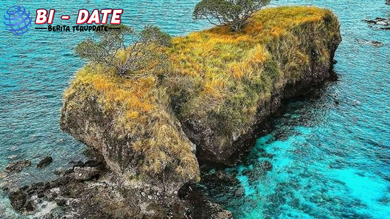 Kutukan Abadi di Pulau Ular: Misteri Kuno dari Tanah Bima!