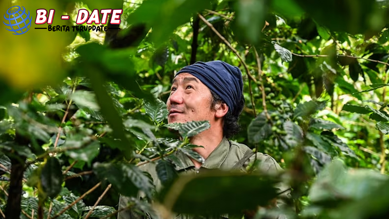 Kopi Thailand 2025 Permintaan Naik, Panen Turun 20%