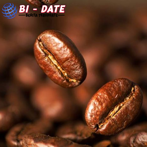 Kopi Thailand 2025 Permintaan Naik, Panen Turun 20%