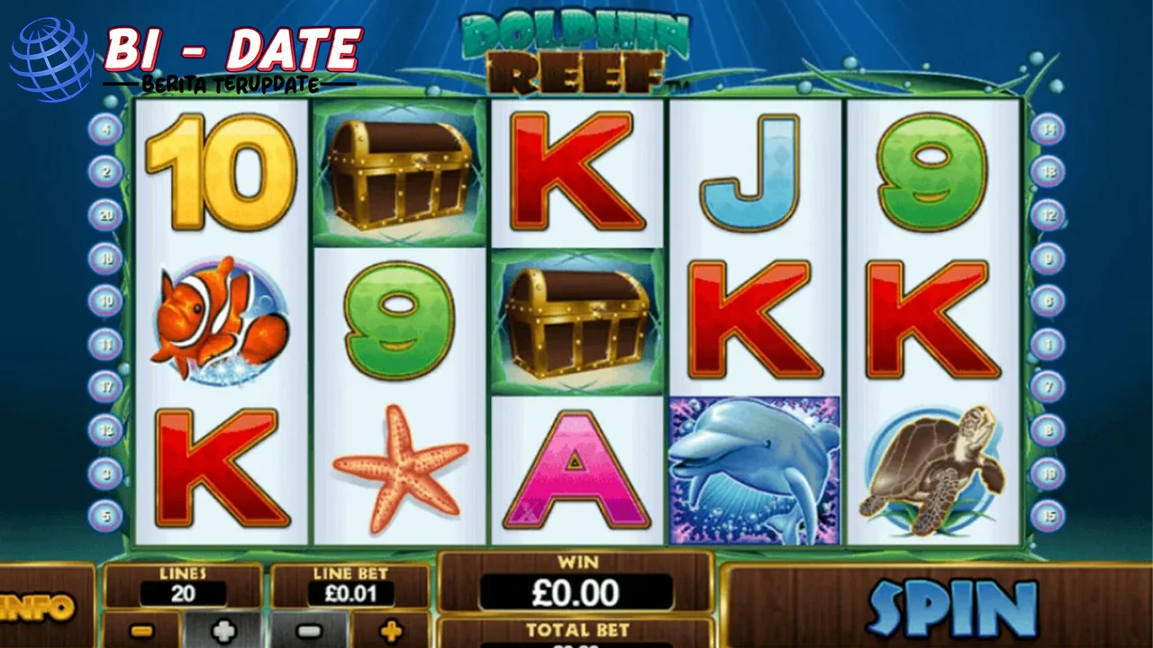 Dolphin Reef Temanin Animasi 13 Kerang Balle!