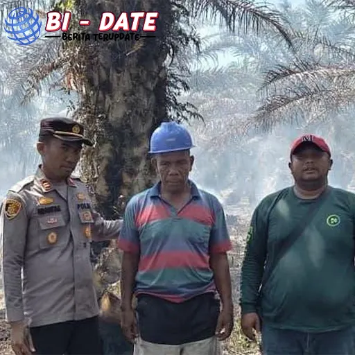 Api Liar di Rohil! 7HA Kebakar, Lahan Nyesel 100%