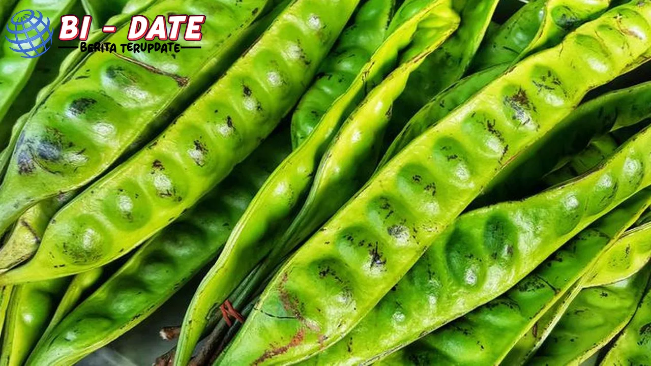 Efek Samping Makan Petai Benarkah Bisa Merusak 2 Ginjal?
