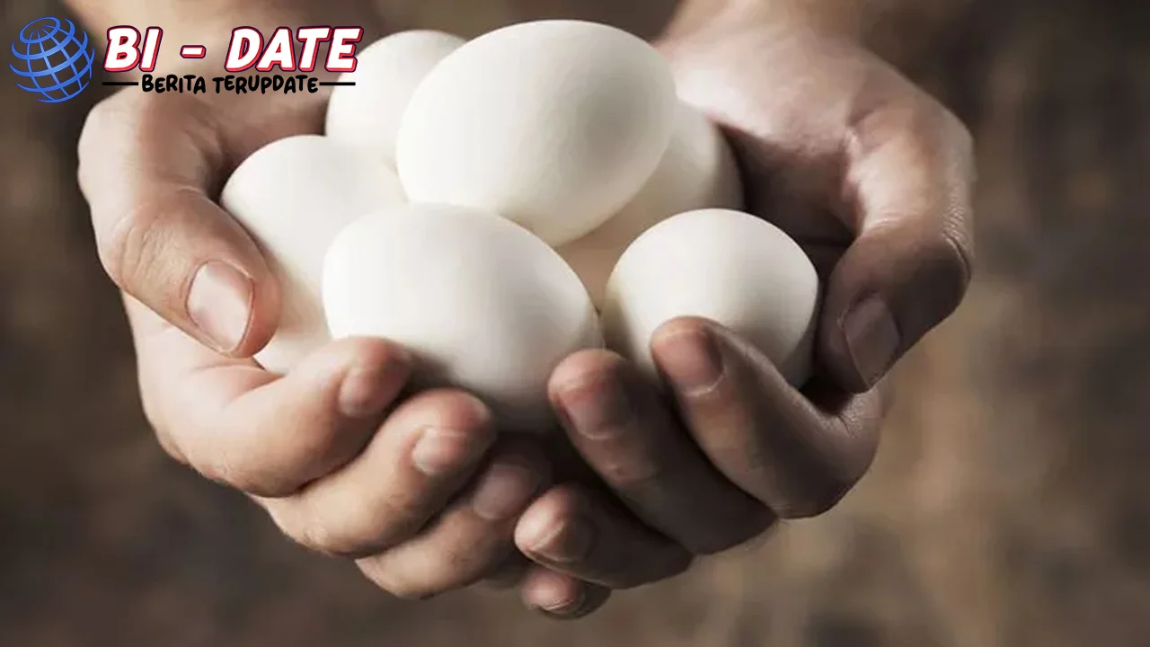 Makan Telur Setiap Hari? Perhatikan 2 Batas Aman Ini!