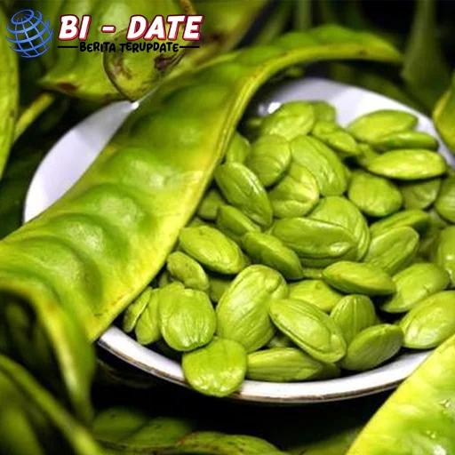 Efek Samping Makan Petai Benarkah Bisa Merusak 2 Ginjal?