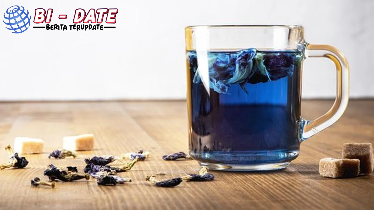 Teh Bunga Telang: Waktu Terbaik & 10 Khasiatnya