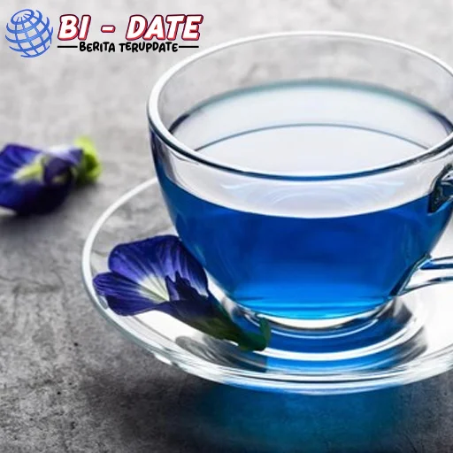 Teh Bunga Telang: Waktu Terbaik & 10 Khasiatnya