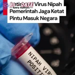 Kemenkes Tajam Cegah 1 Virus Nipah Masuk ke Indonesia!
