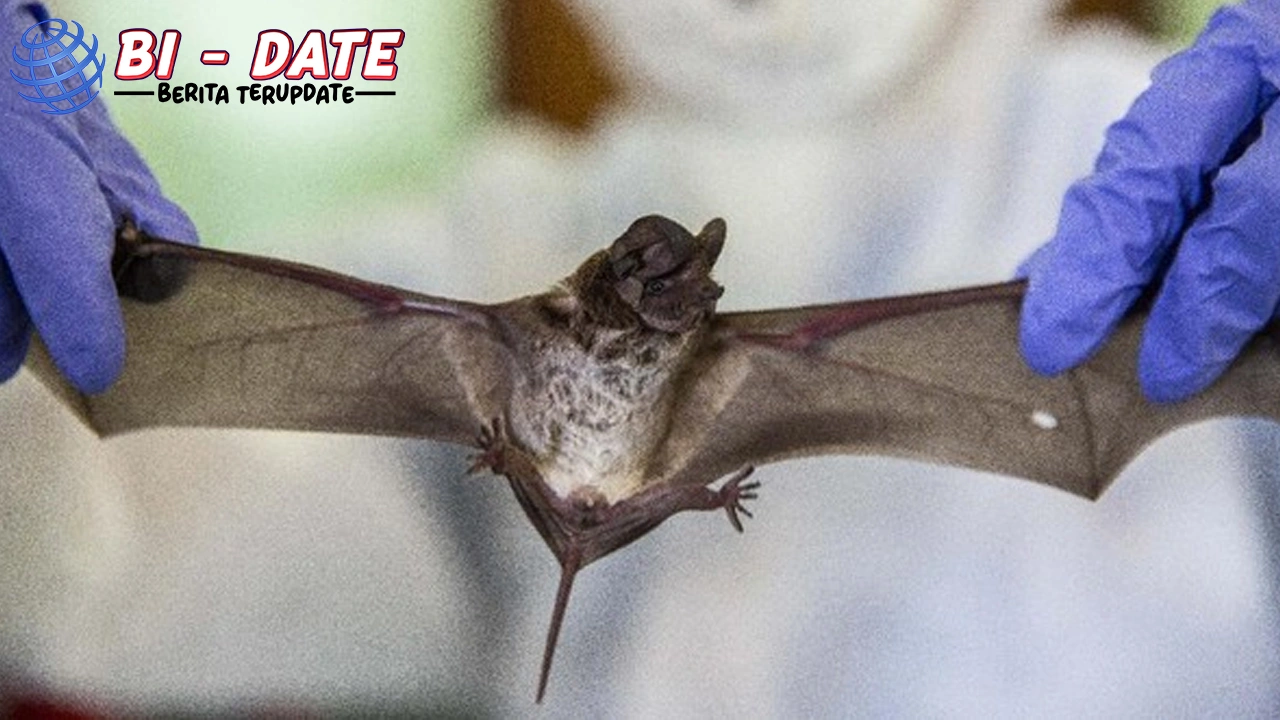 Nipah Jilid 2? Virus Kelelawar Baru Gegerkan Bangladesh!