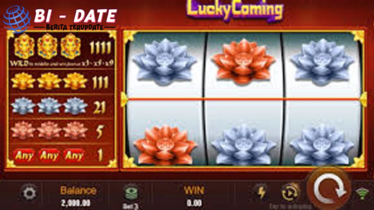 Lucky Coming 10 Inspirasi Tampilan