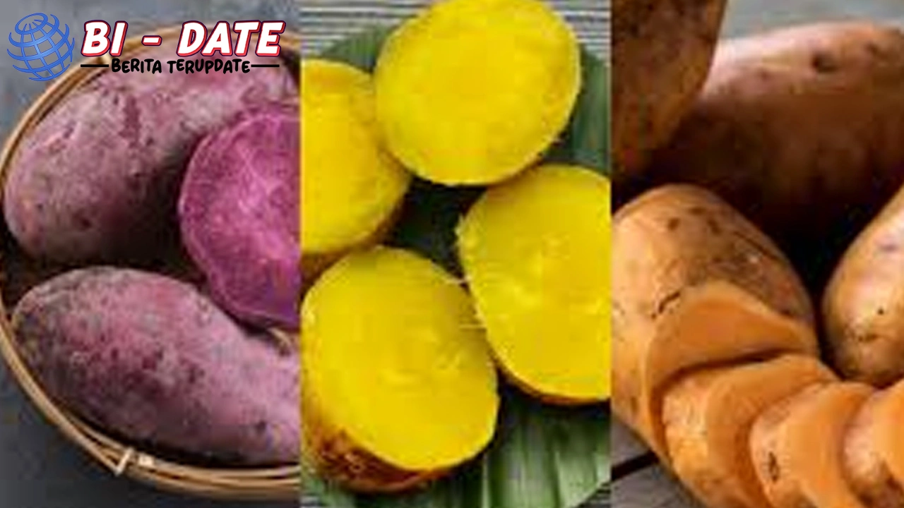 Ubi Ungu! Ini 4 Jenis Ubi Jalar Super Kaya Nutrisi